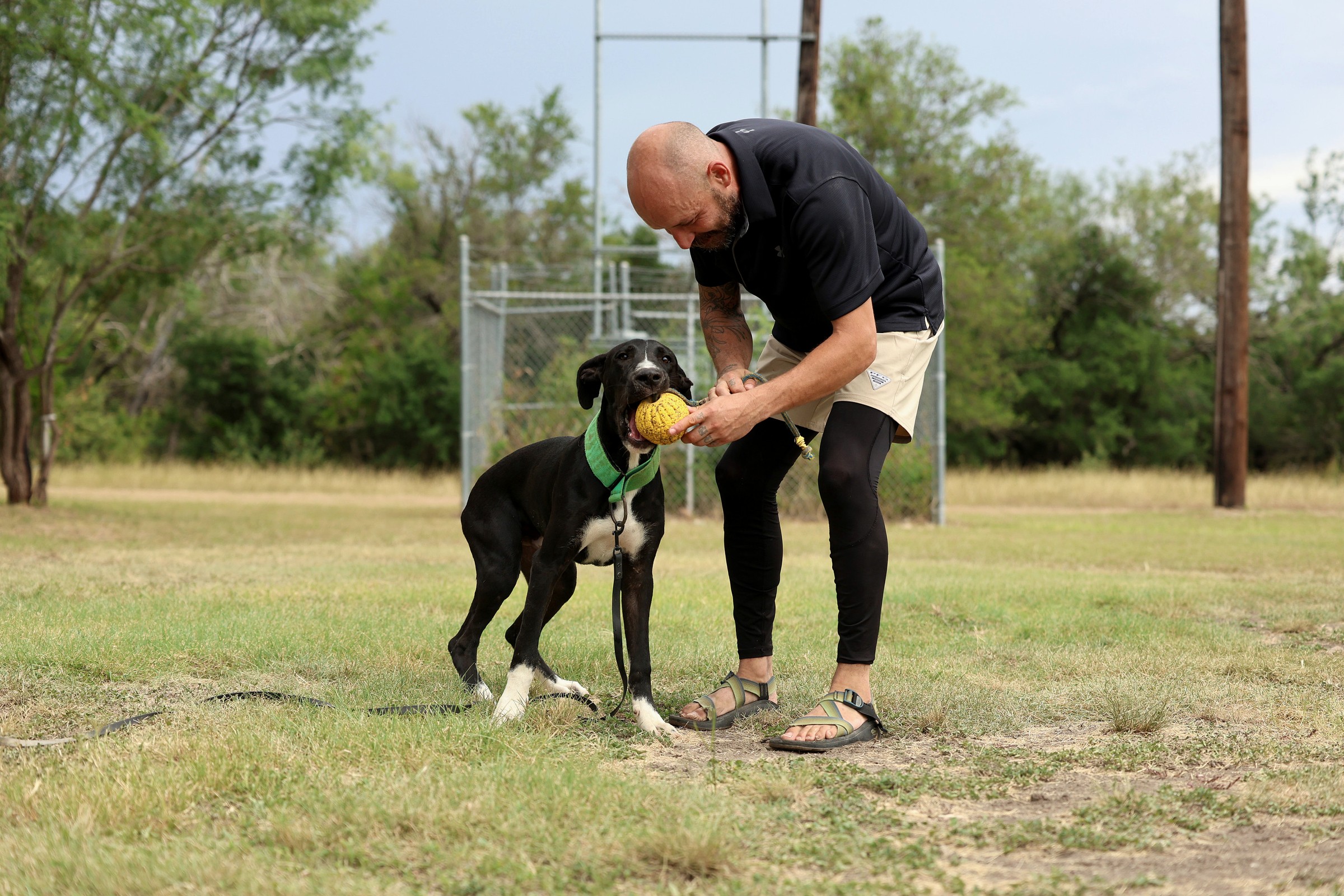 Dog joyfully retrieving a ball while handler tosses it, playful daycare energy.